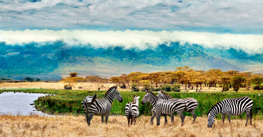 Du lich Chau phi-uganda