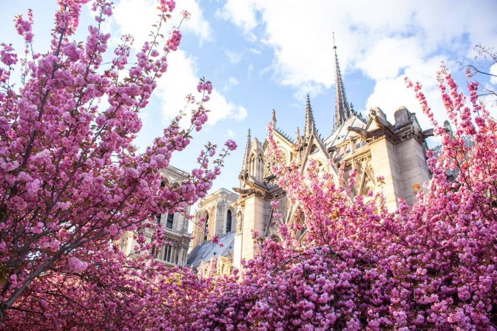 Du-lich-chau-au-mua-nao-dep-notre-dame-2-min